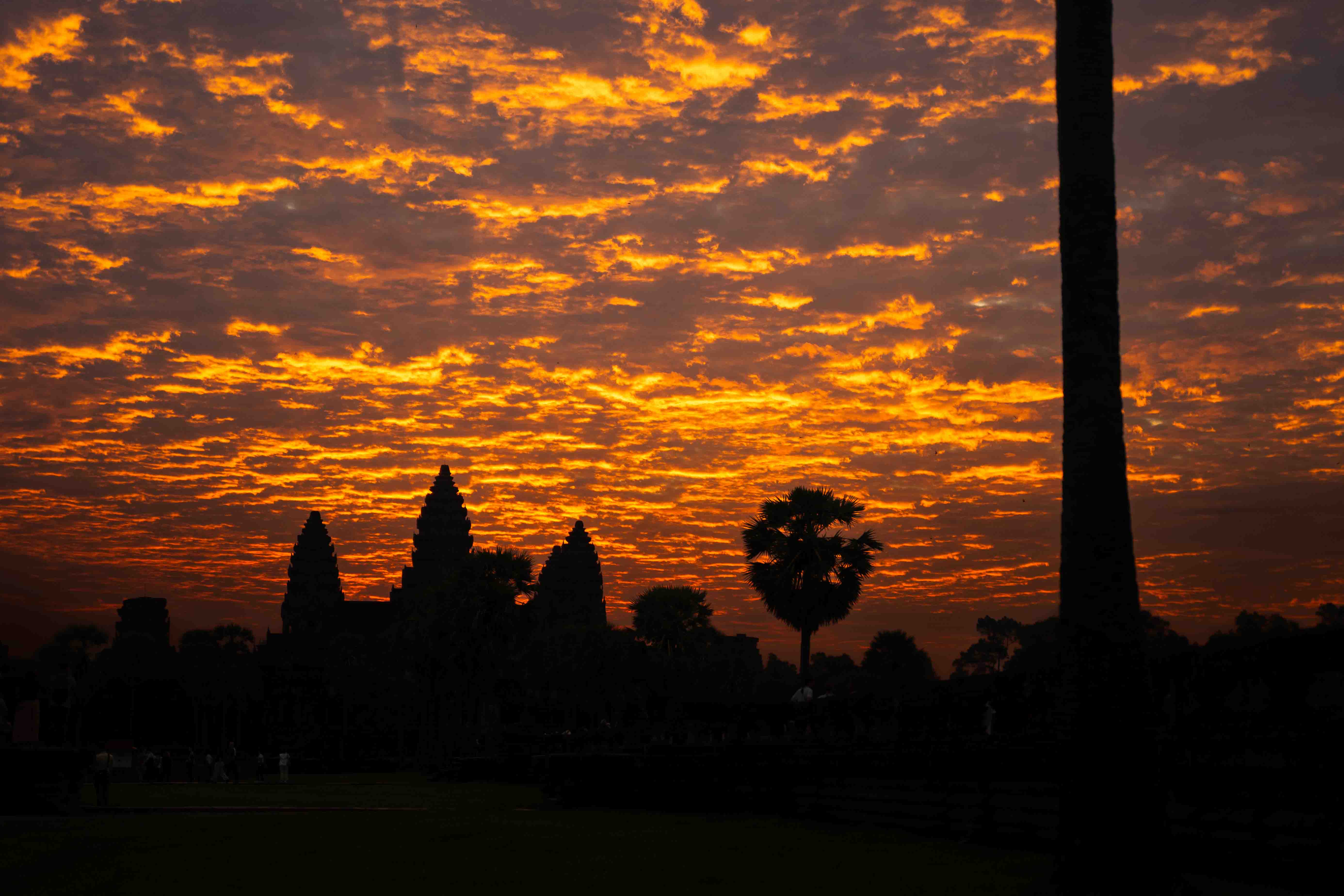 Angkor Wat aerial view, Siem Reap, Cambodia